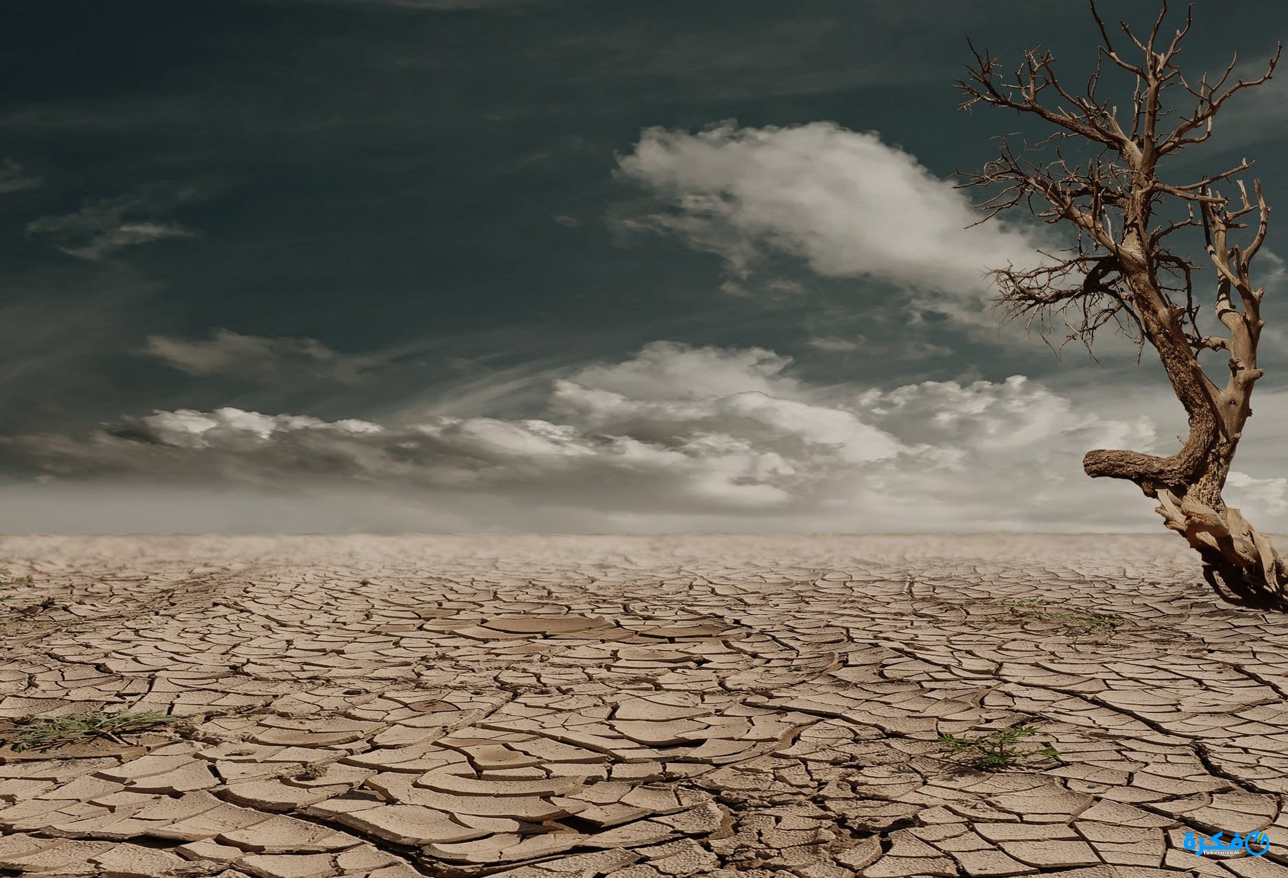 دعاء وشرح خطوات صلاة الاستسقاء 1 desert drought dehydrated clay soil 60013