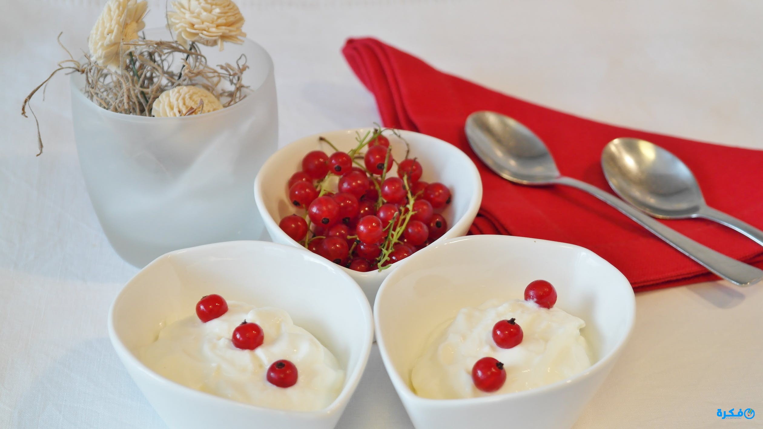تفسير حلم الزبادي في المنام 1 yogurt currants dessert cream 162757