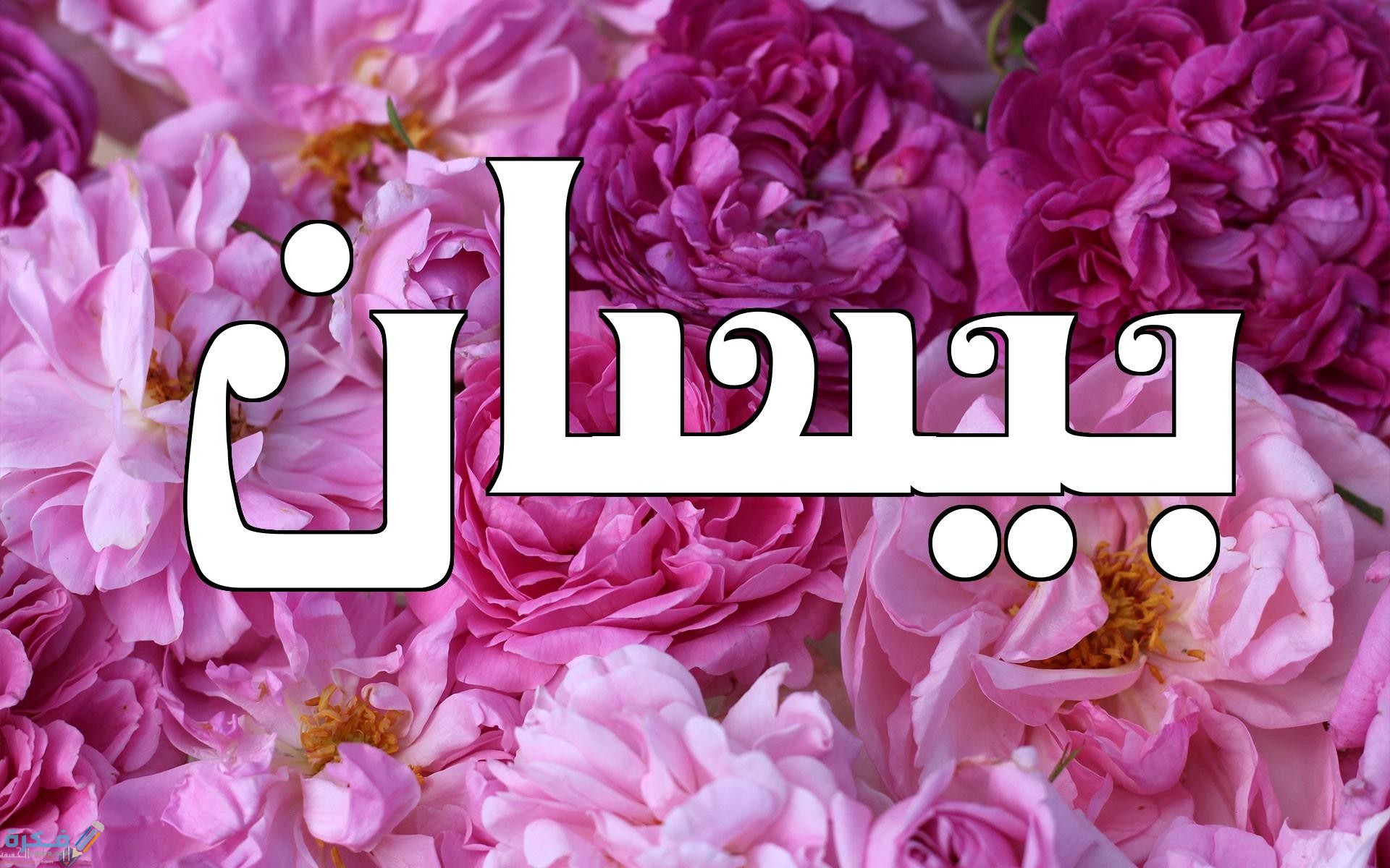 معنى اسم بيسان Bissan وشخصيتها وحكم التسمية في الاسلام 1 بيسان4
