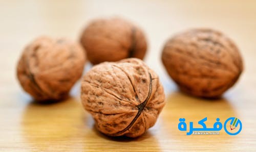 فوائد عين الجمل 1 en gaml