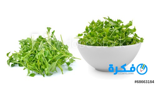 فوائد الجرجير 1 gargeer