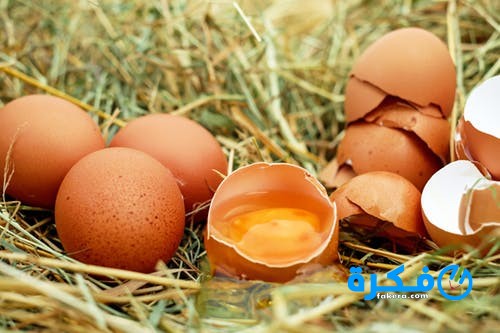 فوائد قشر البيض 1