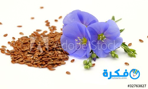 فوائد بذور الكتان 1