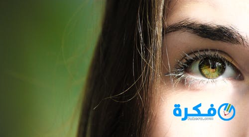 تفسير رؤية الحواجب او الحاجب في المنام 1 pexels photo 840810