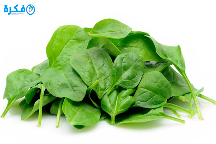 ما تفسير حلم السبانخ في المنام 1 spinach espinaca
