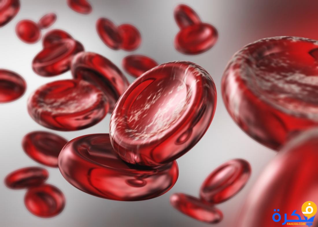 ما هو تحليل الهيموجلوبين hb 1 blood cells