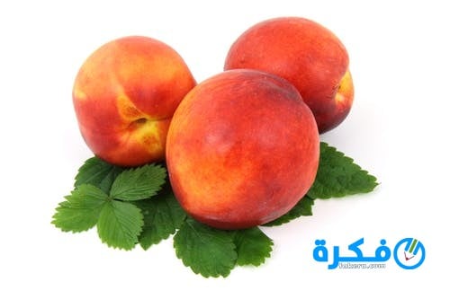 السعرات الحرارية في الخوخ 1 food fresh fruit isolated 42218