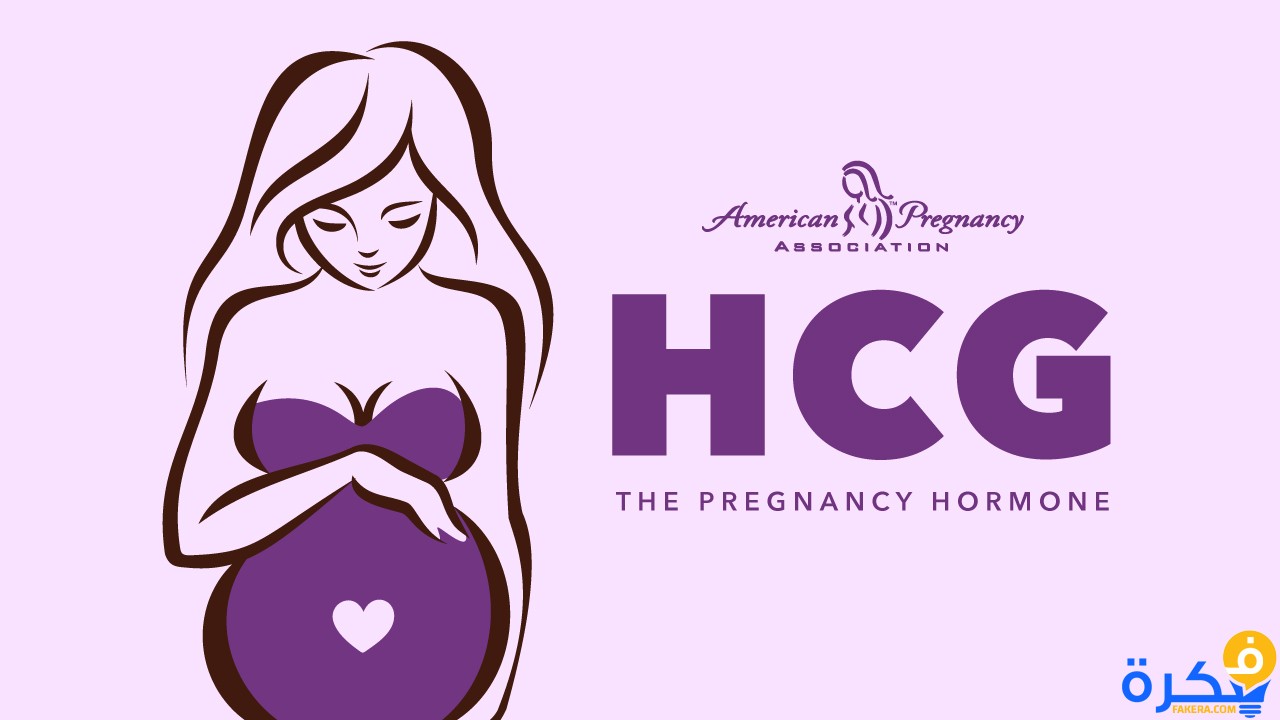 ما هو تحليل الدم B-HCG 1 hcg hormone