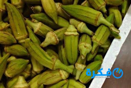 ما تفسير حلم البامية في المنام 1 تفسير حلم البامية في المنام