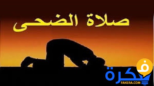 فضل صلاة الضحى ووقتها 1 فضل صلاة الضحى ووقتها