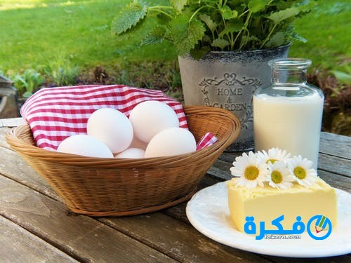 أغذية غنية بالكالسيوم 1 pexels photo 416656