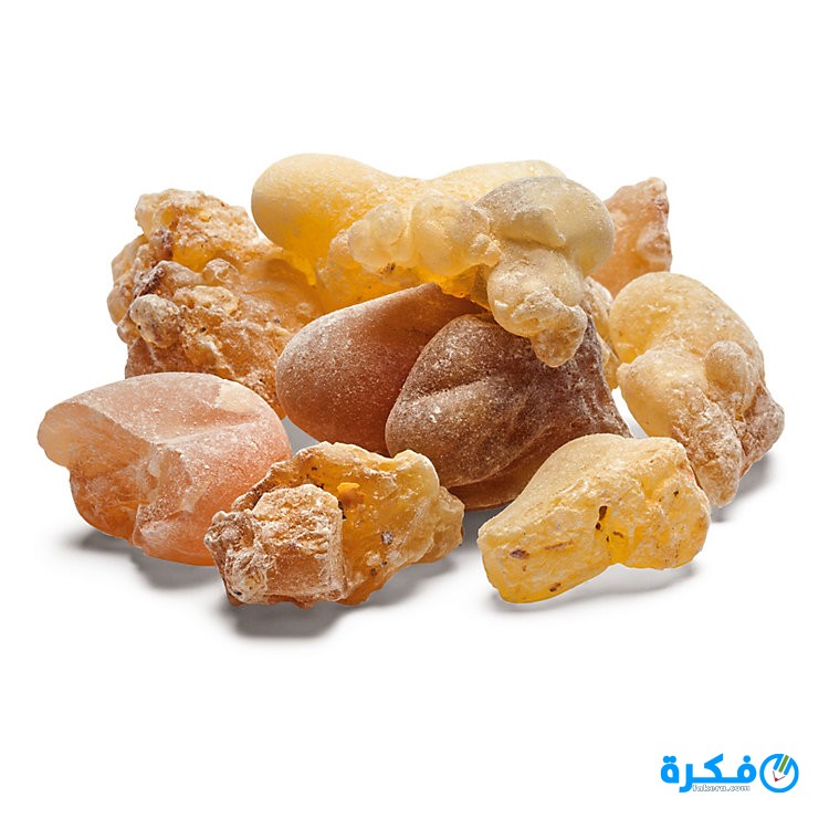 فوائد لبان الذكر 1 frankincense resin 69707 01
