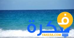 تفسير رؤية البحر من مكان مرتفع 1 تفسير رؤية البحر من مكان مرتفع