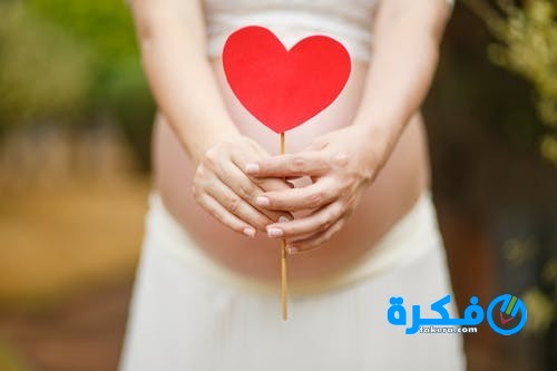 شرح خطوات حدوث الحمل بعد الدورة الشهرية 1 pexels photo 259363