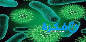 نشره كبسولات شراب MAXDINIR ماكسدينير مضاد حيوي 1 دواء