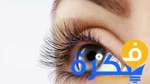 تفسير حلم رؤية الرموش ومعناه 1 تفسير