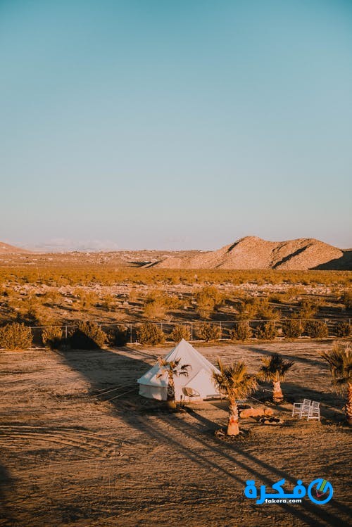 تفسير حلم رؤية الخيمة ومعناه 1 pexels photo 2653168