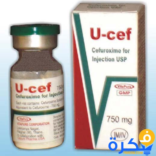 نشرة دواء يو سيف U-Cef علاج الفطريات والبكتيريا 1 دواء