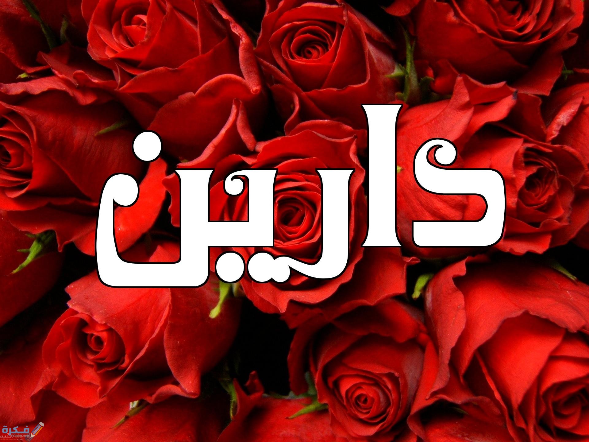 معنى اسم دارين وشخصيتها وحكم التسمية في الاسلام 1 دارين2