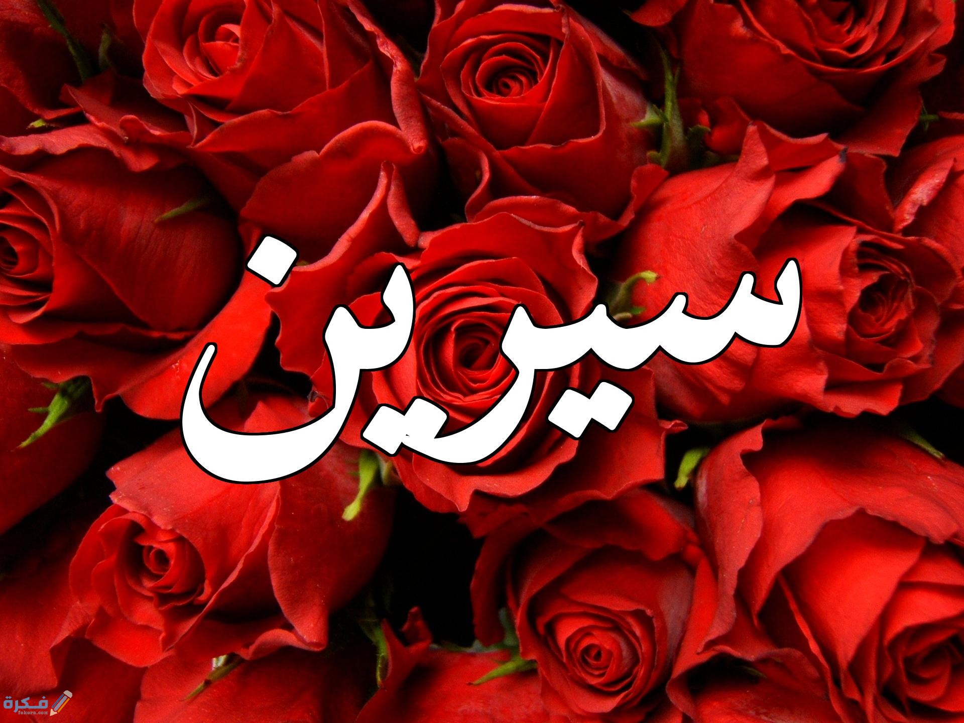معنى اسم سيرين وشخصيتها وحكم التسمية في الاسلام 1 سيرين