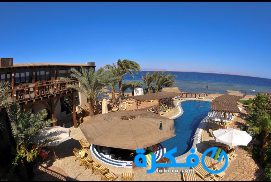اسماء احسن 4 فنادق في دهب 2025 1 inbound6863568884605034681