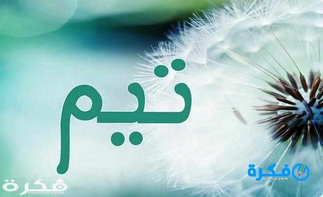 اسماء اولاد بحرف ت التاء ومعانيها 2025 1 اسماء