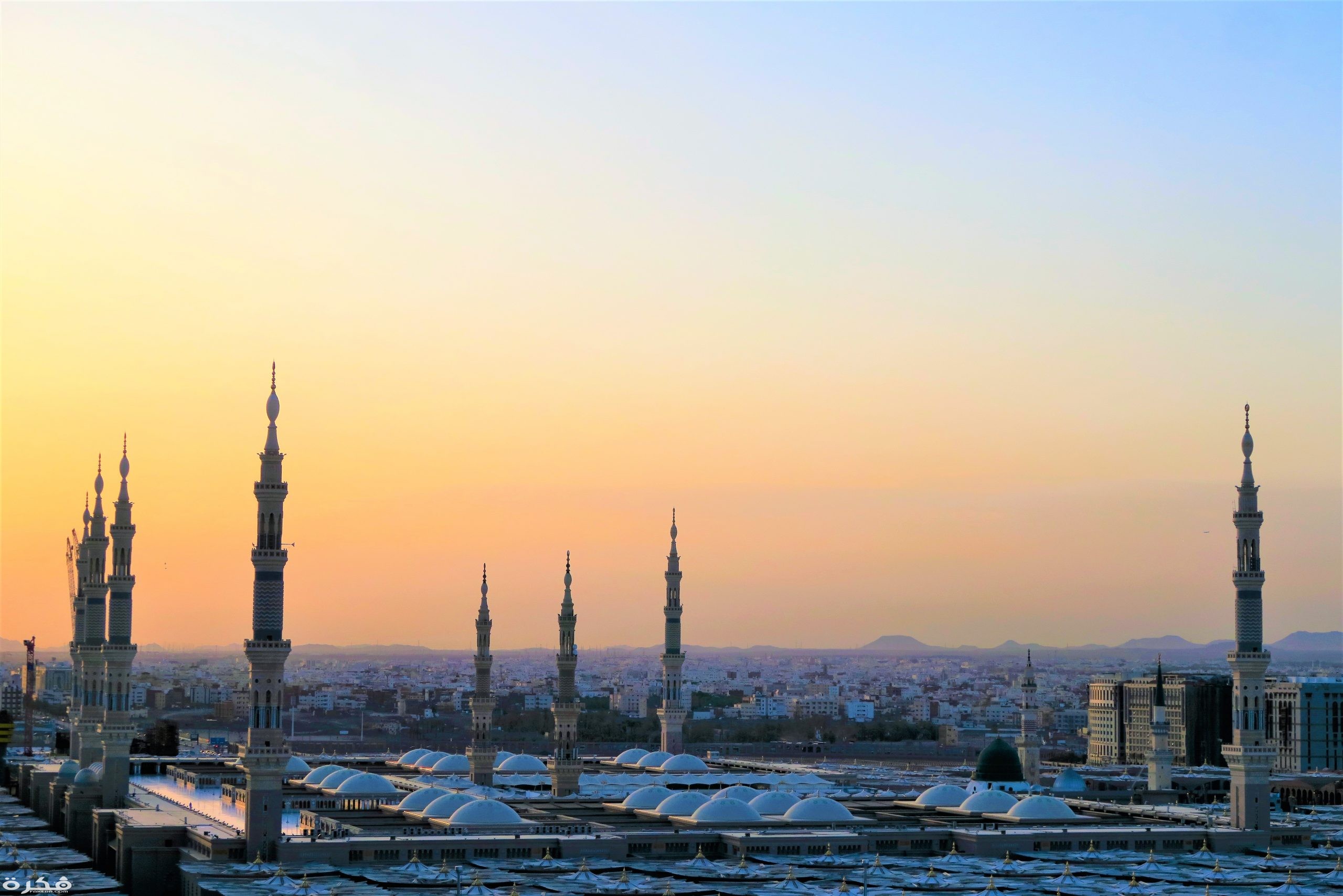 هل تعلم عن السعودية للإذاعة المدرسية قصيرة 1 inbound2747512054241648614 scaled