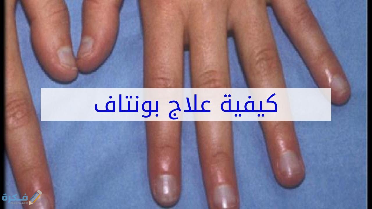 ما هي السورة التي تسمى نصف القرآن 1 maxresdefault 2