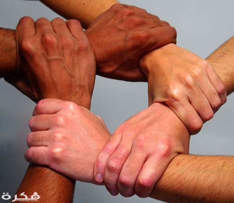 الحوار الوطني طريق التقدم والازدهار 1 phpThumb genبسيشبسشbnail