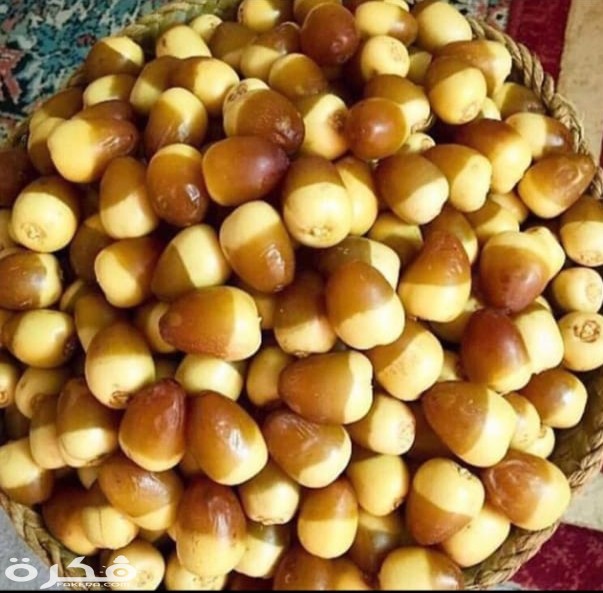 السعرات الحرارية في الرطب 1 IMG ٢٠٢٠٠٢٢١ ١٦٢١٥٦
