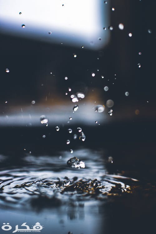 اجمل صور المطر 2025 1 pexels photo 1251293