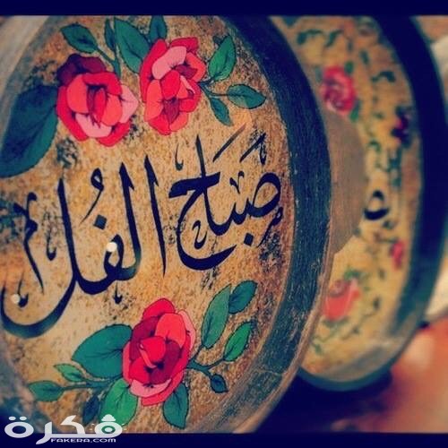 صور صباح الفل مع بوستات صباحية 2025 1 صباح الفل جميلة