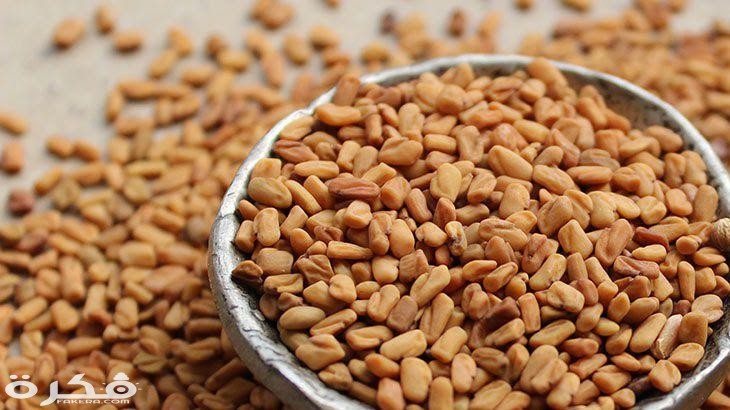 تفسير رؤية حلم الحلبة في المنام لابن سيرين 1 الحلبة للأطفال الصغار وأضرارها