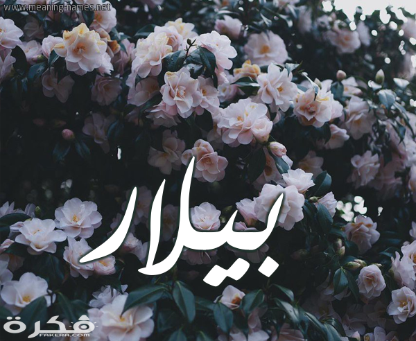 معنى اسم بيلار وشخصيتها وحكم التسمية في الاسلام 1 11 بيلار