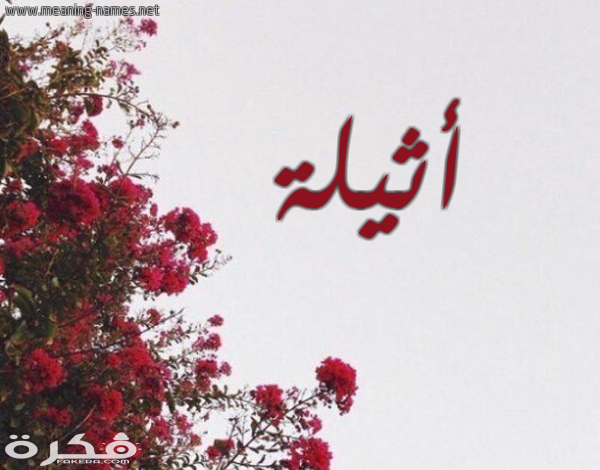 معنى اسم أثيلة وشخصيتها وحكم التسمية في الاسلام 1 18 أثيلة