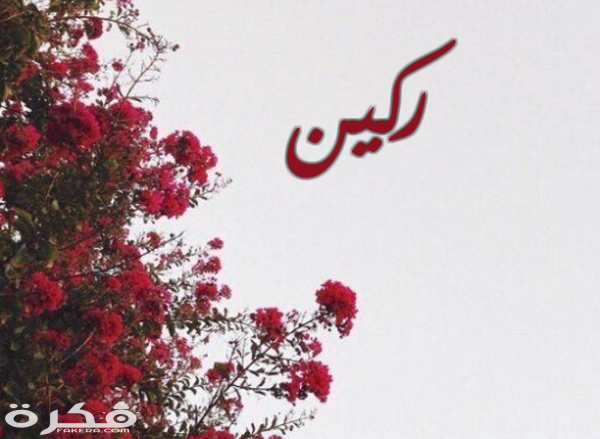 معنى اسم ركين وشخصيته وحكم التسمية في الاسلام 1 18 ركين