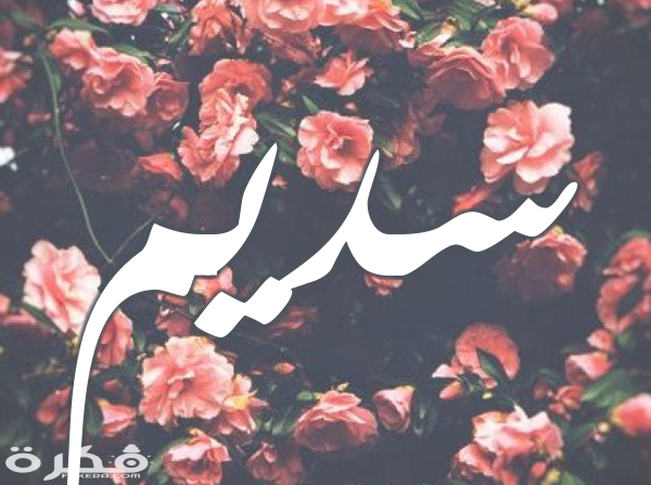 معنى اسم سديم وشخصيتها وحكم التسمية في الاسلام 1 2487