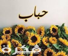 معنى اسم حباب وشخصيتها وحكم التسمية في الاسلام 1 66 3