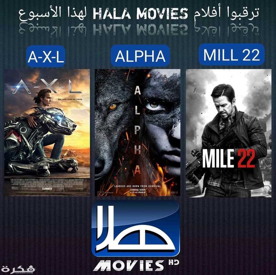 تردد قناة هلا موفيز 2025 HALA MOVIES HD 1 IMG ٢٠٢٠٠٣٣١ ١٤٠٤٠٢