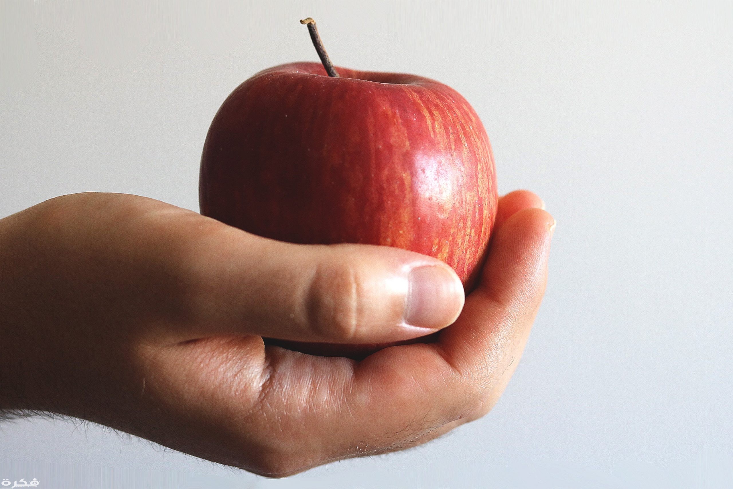 تفسير حلم رؤية اخذ التفاحة من شخص 1 close up photo of person holding red apple 1451649 scaled