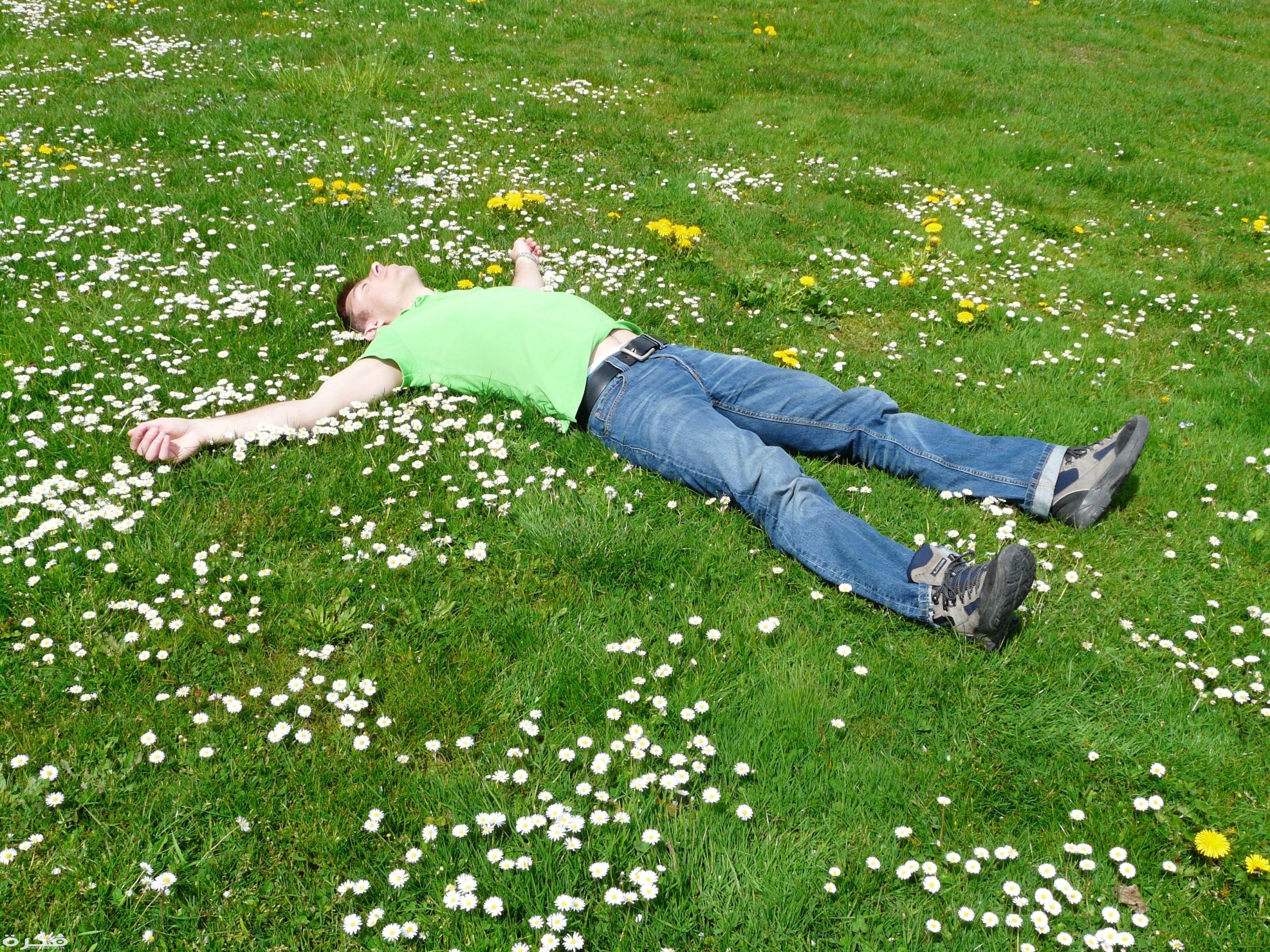 تفسير حلم رؤية شخص سوف يموت وتأويله 1 high angle view of lying down on grass 258330 scaled
