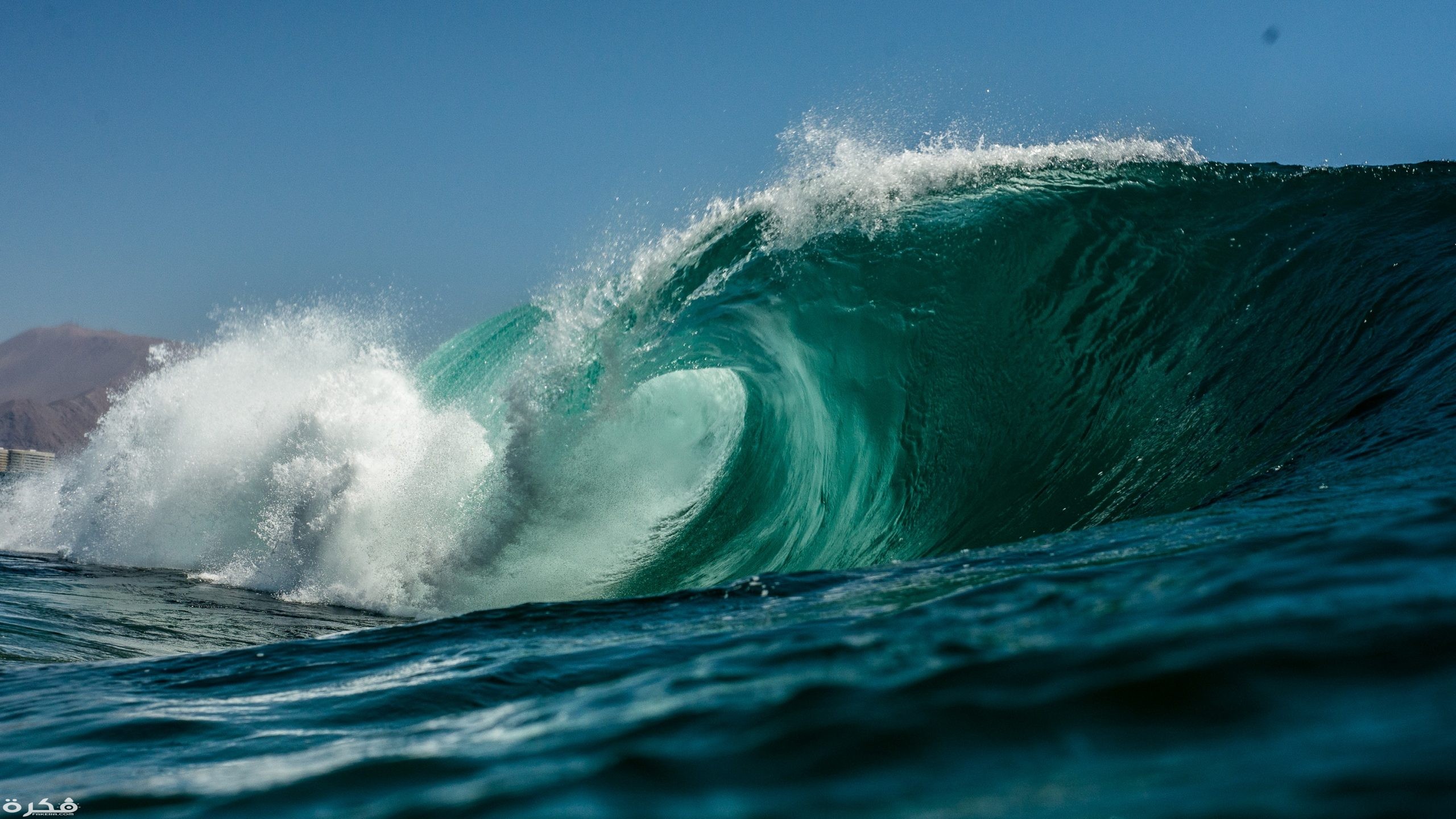 تفسير حلم رؤية الموجة بالتفصيل 1 ocean wave at blue hour 1330219 scaled