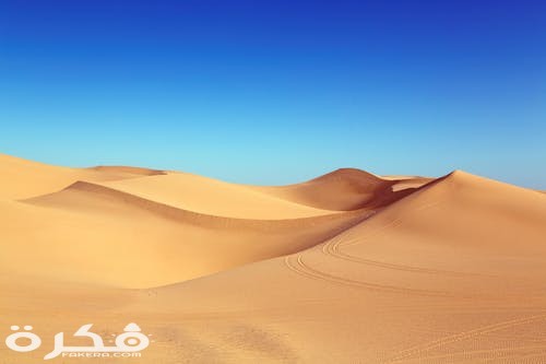 تفسير حلم رؤية الرمال المتحركة في المنام 1 تفسير