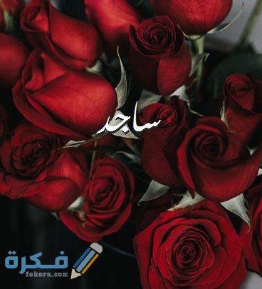معنى اسم ساجد وشخصيته وحكم التسمية في الاسلام 1 ساجد