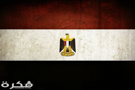 صور علم مصر 2025 1 مصر 1
