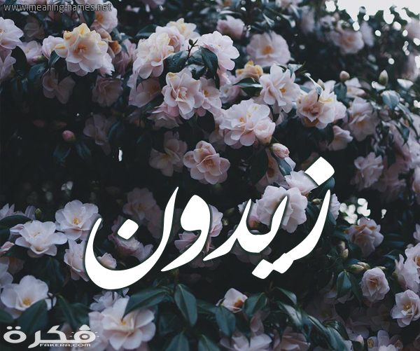 معنى اسم زيدون وشخصيته وحكم التسمية في الاسلام 1 11 زيدون