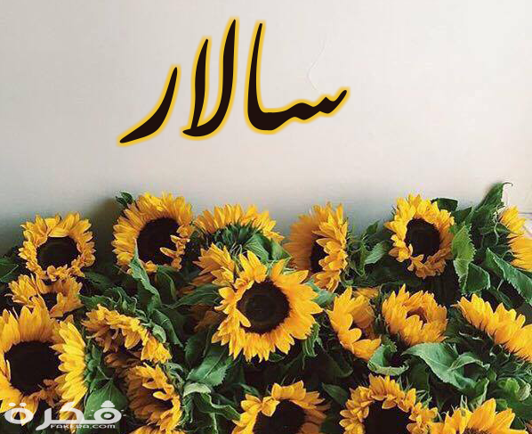 معنى اسم سلر وشخصيتها وحكم التسمية في الاسلام 1 17 سالار