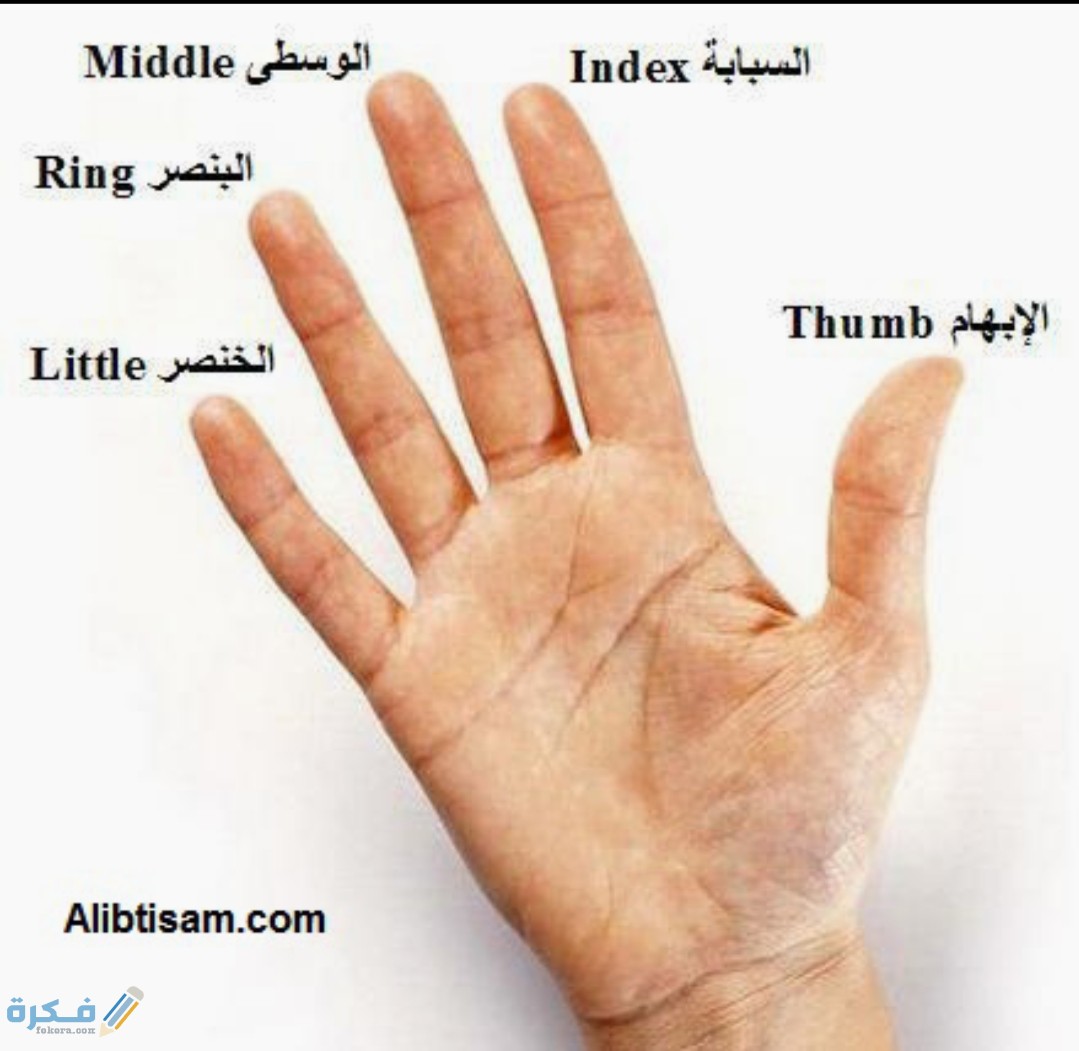 اسماء اصابع اليد ومعانيها 1 IMG ٢٠٢٠٠٤٢٦ ١٢٣٠٠١