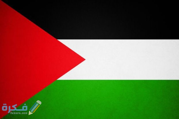 صور علم فلسطين 2025 خلفيات علم فلسطين 1 Palestine flag 2 623x413 1