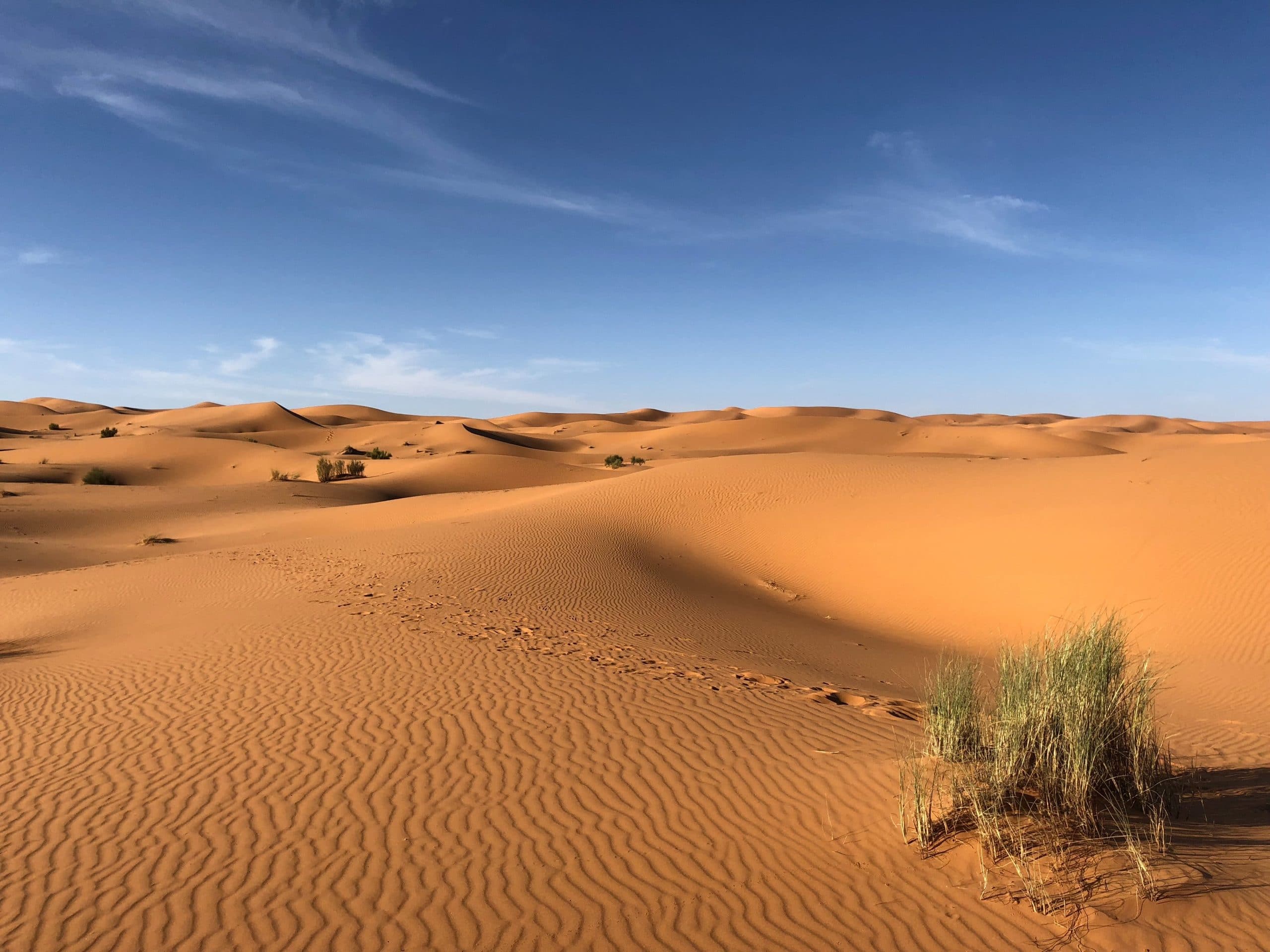 تفسير حلم رؤية الصحراء في المنام 1 pexels photo 1001435 scaled